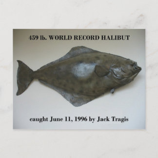 Postal Halibut récord mundial atrapado en el puerto holan