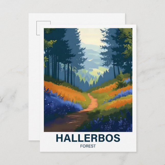 Postal Hallerbos Forest Halle Brabant Flandria Belgia (Anverso / Reverso)