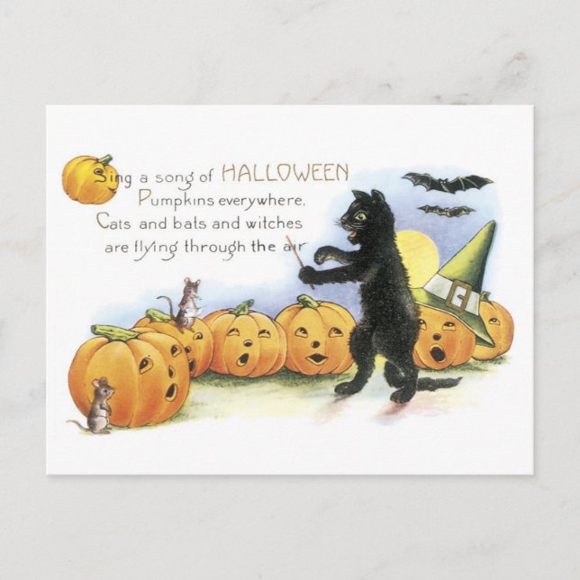 Postal Halloween anticuado, gato negro y calabazas (Anverso)