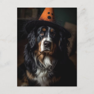 Postal Halloween Berese Mountain Dog Adorable