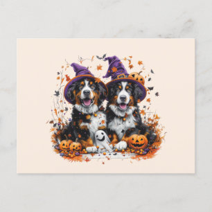 Postal Halloween Bernese Mountain Dogs Witch Ghost