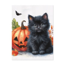 Halloween Black Kitten con Jack-o-lantern