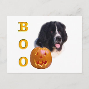 Postal Halloween Boo de Terranova