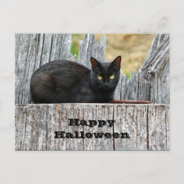 Postal Halloween con foto de registro de gato negro de bo