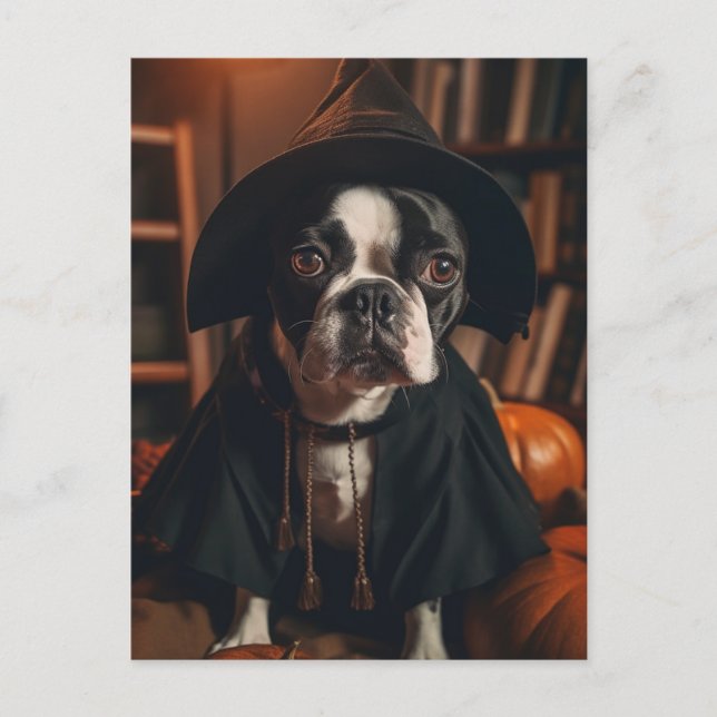 Postal Halloween de Boston Terrier (Anverso)