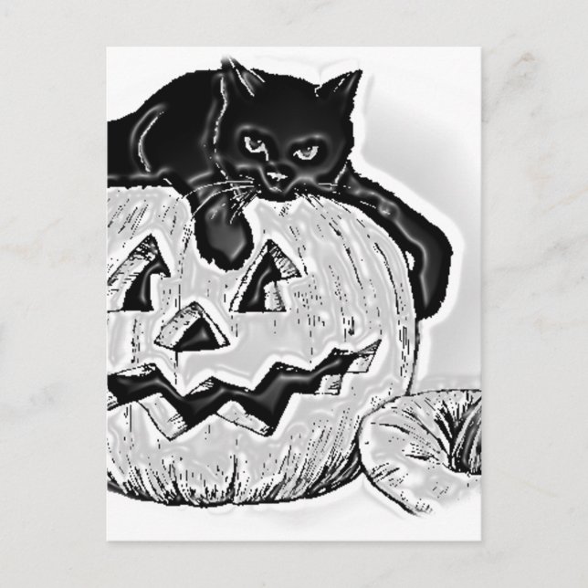 Postal Halloween de calabaza para Naranja negro gato (Anverso)