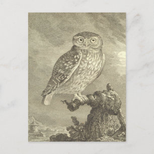Postal Halloween de espumosa lechuza vintage