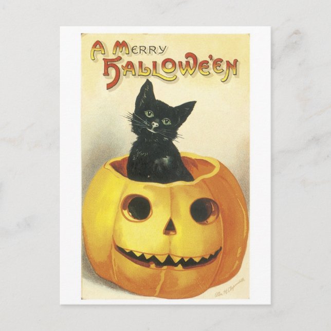 Postal Halloween de estilo antiguo Jack-o'-lantern, gato  (Anverso)