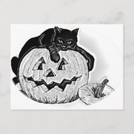 Postal Halloween de gatos negros y calabazas espeluznante