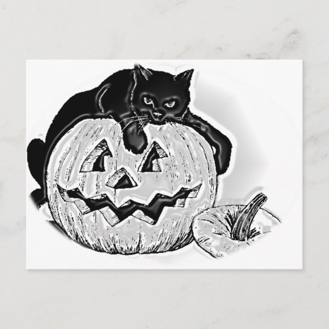 Postal Halloween de gatos negros y calabazas espeluznante (Anverso)