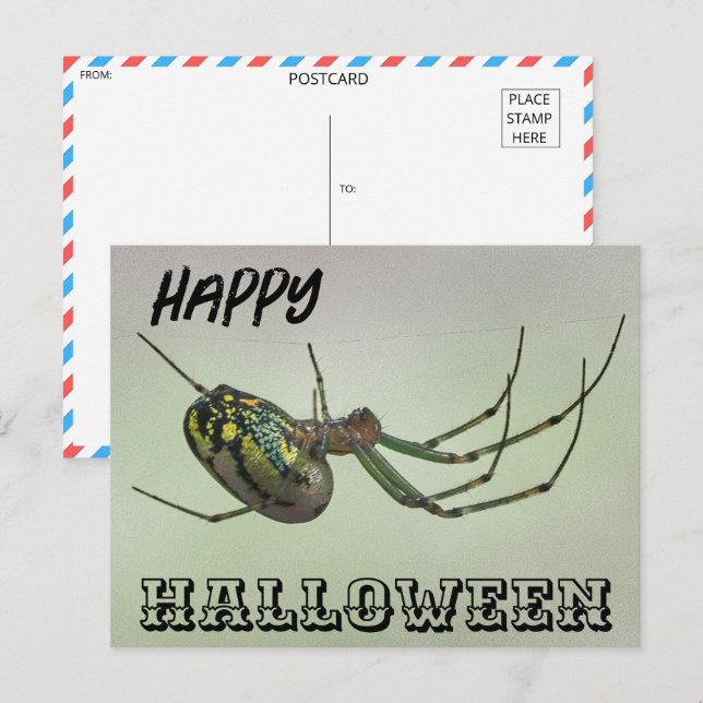 Postal Halloween de Spider Spooky (Anverso / Reverso)