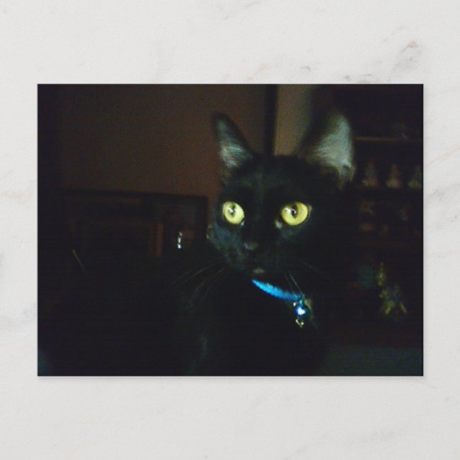 Postal Halloween Eyes (Anverso)