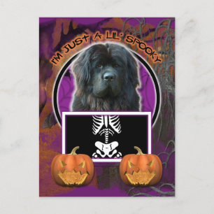 Postal Halloween - Just a Lil Spooky - Terranova