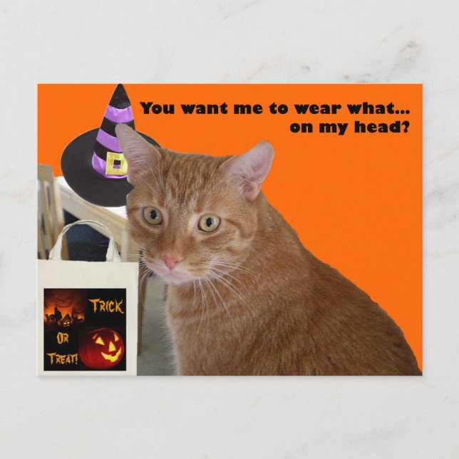 Postal Halloween Kitty - Usa qué (Anverso)