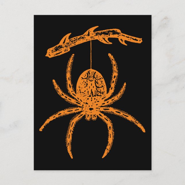 Postal Halloween Naranja Spider (Anverso)