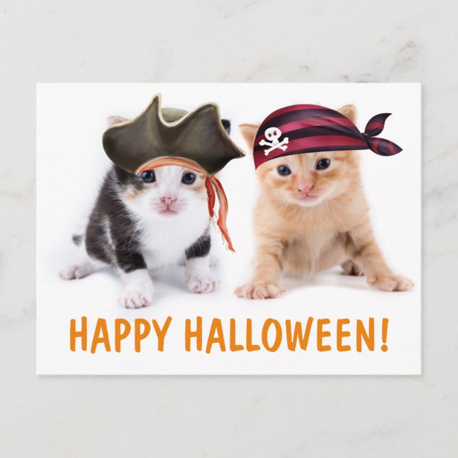 Postal Halloween pirata de hermanas gatitas (Anverso)