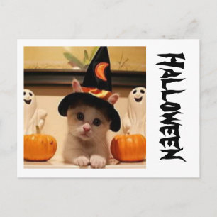 Postal Halloween Post Card