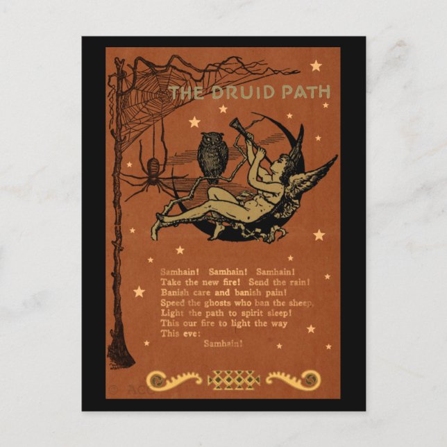 Postal Halloween Samhain Fairy Owl Spider Web (Anverso)