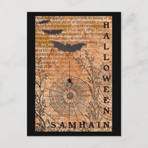 Postal Halloween Samhain Spider Webs