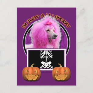 Postal Halloween - Solo un Lil Spooky - Poodle - Rosa