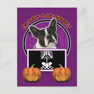 Postal Halloween - Solo un mentiroso temblor - Boston Ter