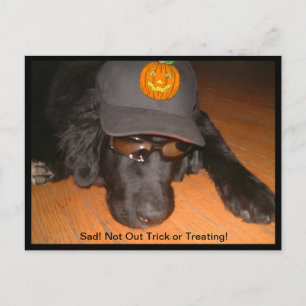 Postal Halloween triste sin truco o trato