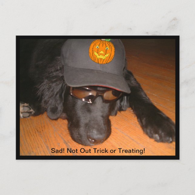 Postal Halloween triste sin truco o trato (Anverso)