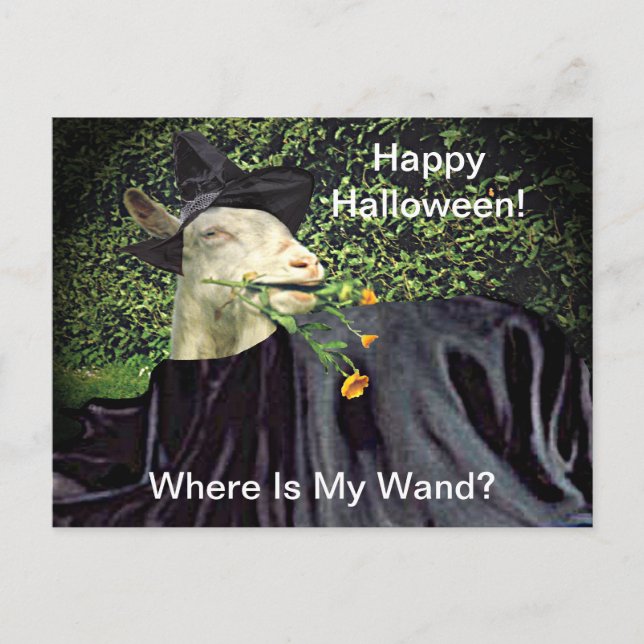 Postal Halloween Wizard Goat (Anverso)