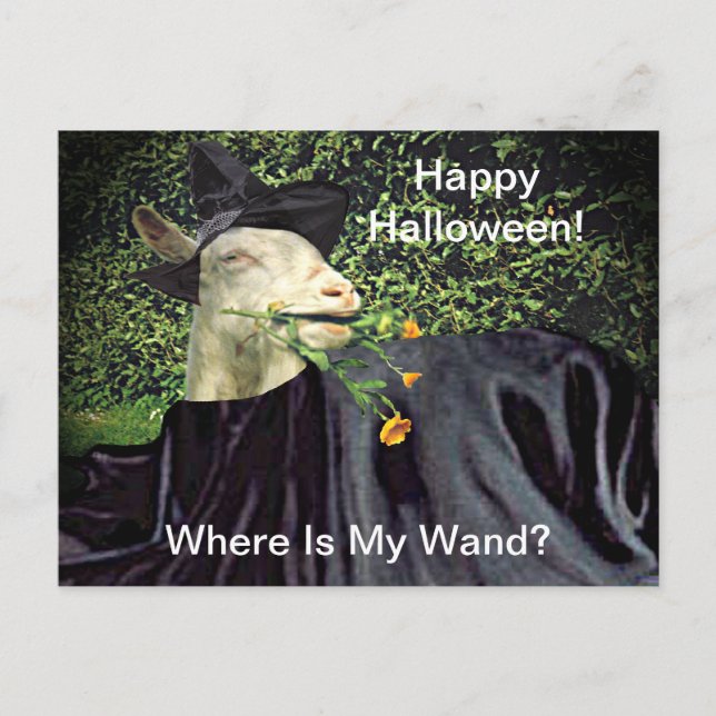 Postal Halloween Wizard Goat (Anverso)