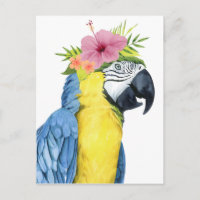 Halo tropical - loro