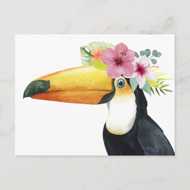 Postal Halo tropical - Toucan (Anverso)