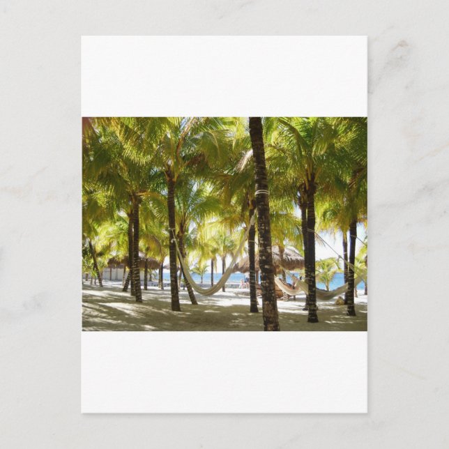 Postal Hamaca y palmeras (Anverso)