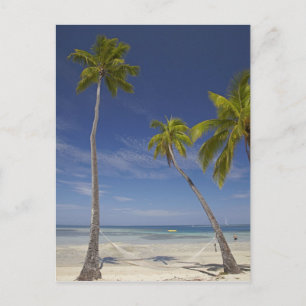 Postal Hamaca y palmeras, Plantation Island Resort