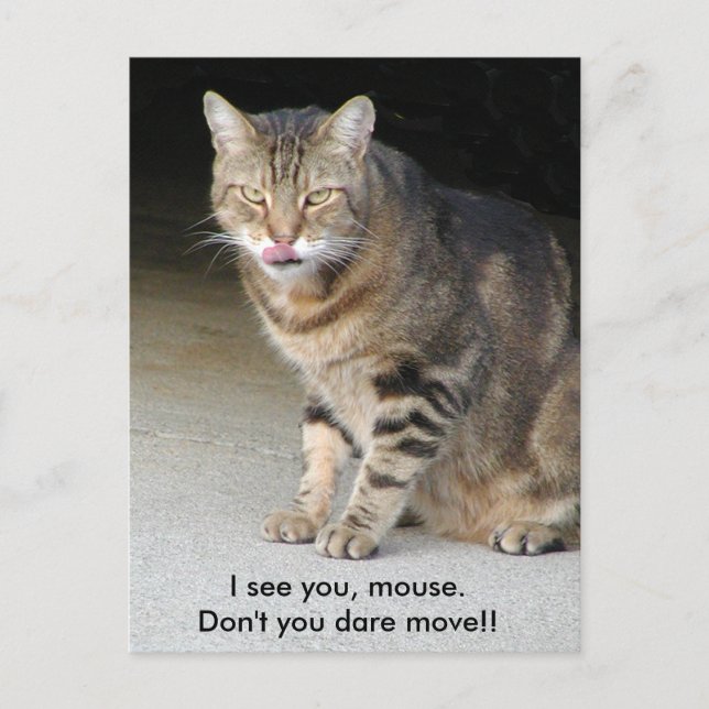 Postal hambrienta del gato (Anverso)