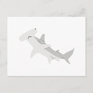 Postal Hammerhead Shark