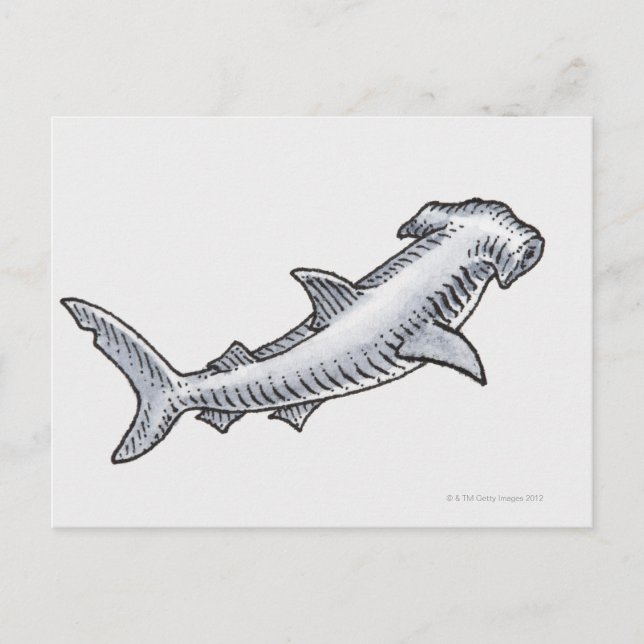 Postal Hammerhead Shark (Anverso)