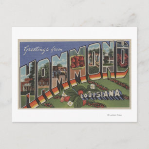 Postal Hammond, Louisiana - Escenas de letras grandes