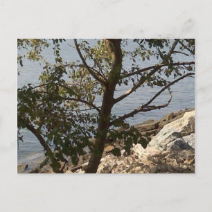 Postal Hampton, opinión de bahía de Chesapeake del VA