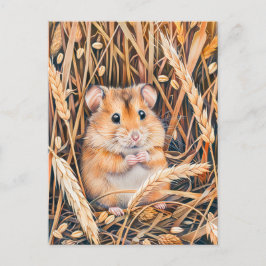 Postal Hamster de campo en grano dorado