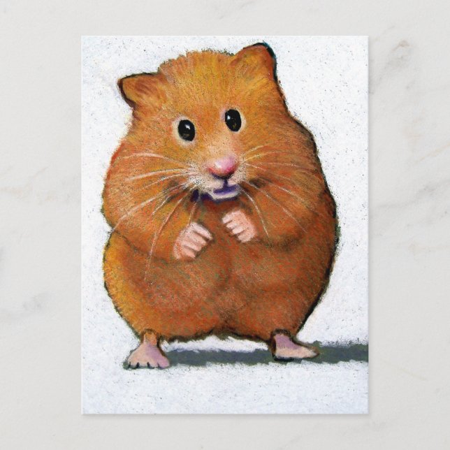 POSTAL HAMSTER EN COLOR PENCIL (Anverso)