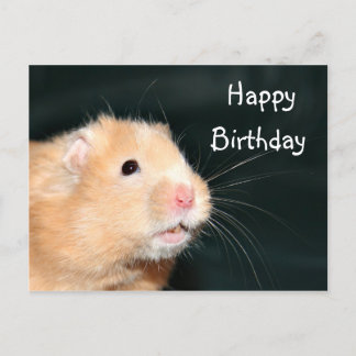 Postal Hamster Happy Birthday