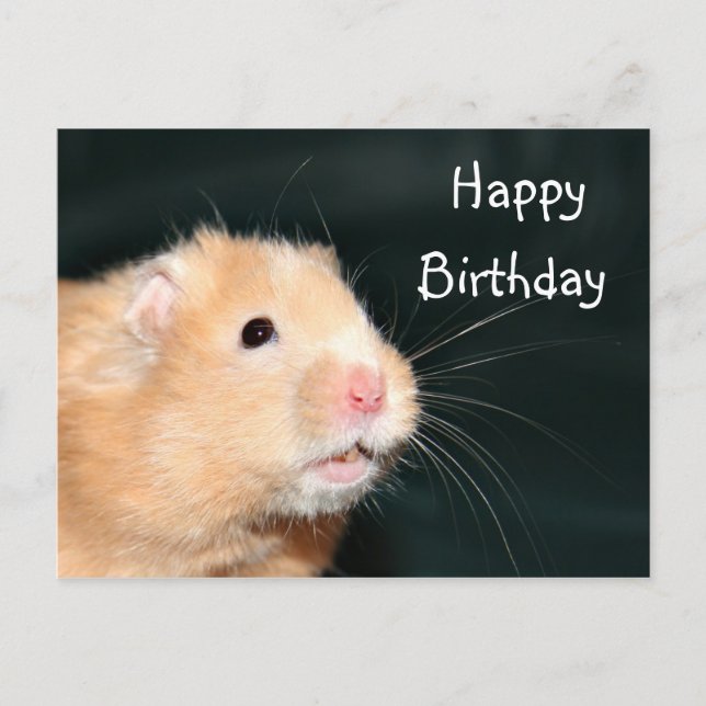 Postal Hamster Happy Birthday (Anverso)