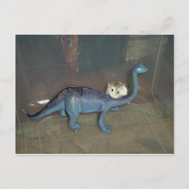 Postal Hámster sobre un dinosaurio (Anverso)