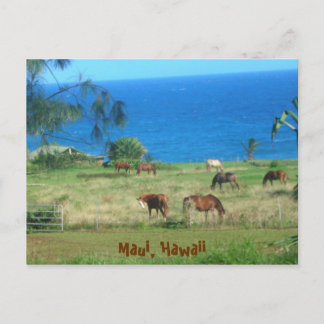 Postal Hana Horses