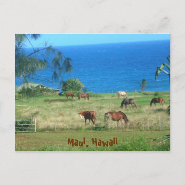 Postal Hana Horses (Anverso)
