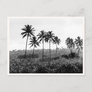Postal Hanalei Princeville Kauai Hawaii Blanco y Negro