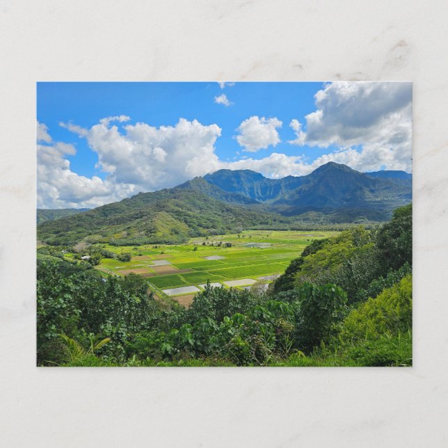 Postal Hanalei Valley Lookout (Anverso)