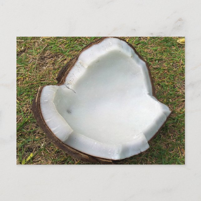 Postal Hanauma Bay Hawaii Coconut (Anverso)