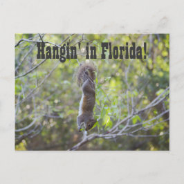 Postal Hangin' en Florida