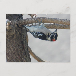 Postal Hangin Out by Leslie Peppers